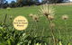 Adelaide Hills Escape - thumb 0