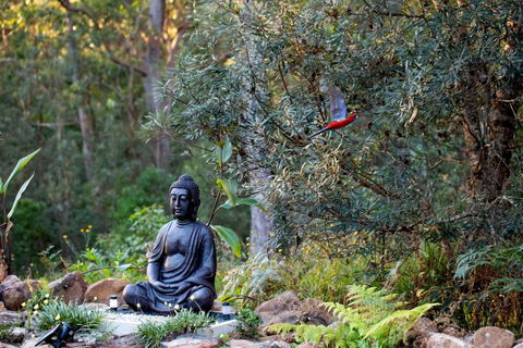 Dorrigo Bush Pepper Retreat - Accommodation Gold Coast 4