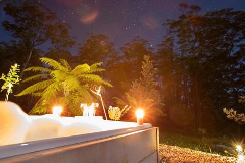 Dorrigo Bush Pepper Retreat - Accommodation Gold Coast 2