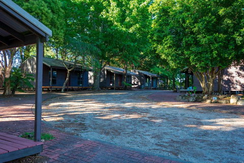 Dorrigo Mountain Holiday Park - Accommodation Gold Coast 2