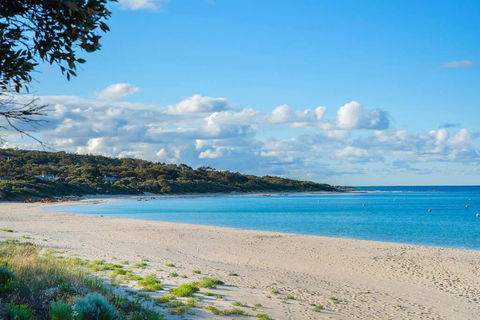 Eagle Bay Summerhaus - Accommodation Gold Coast 1