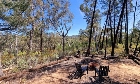 Echidna Ridge By Tiny Away - Accommodation Gold Coast 1