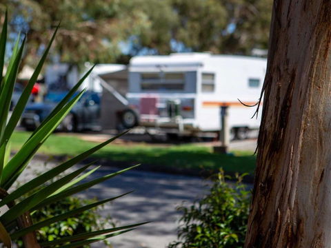 Echo Holiday Parks - Windsor Gardens - Accommodation Gold Coast 4