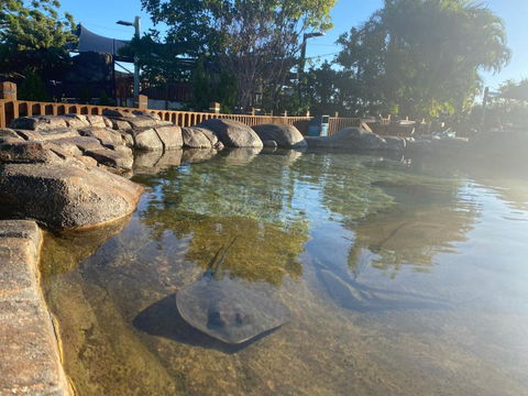 Family Ocean View Studio Free Wi-Fi - Accommodation Gold Coast 1