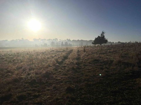 Garden-nestled Granny Flat Between Winery And Town - 1 Gold Coast 1