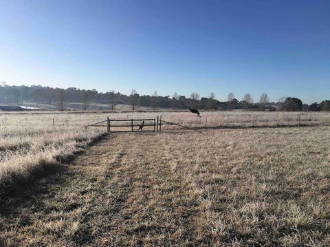 Garden-nestled Granny Flat Between Winery And Town - 1 Gold Coast 2