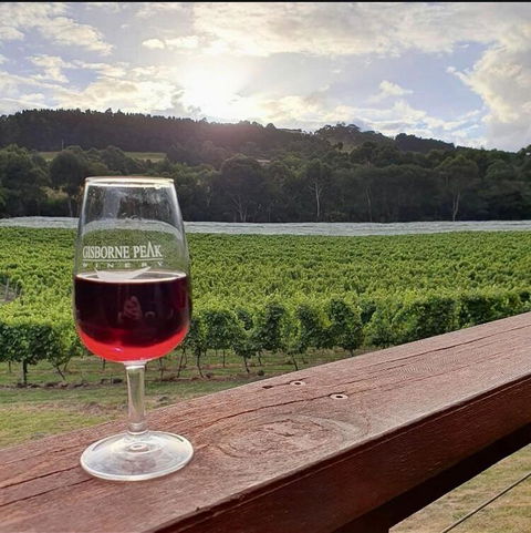 Gisborne Peak Winery Short Term Stays - Accommodation Gold Coast 3