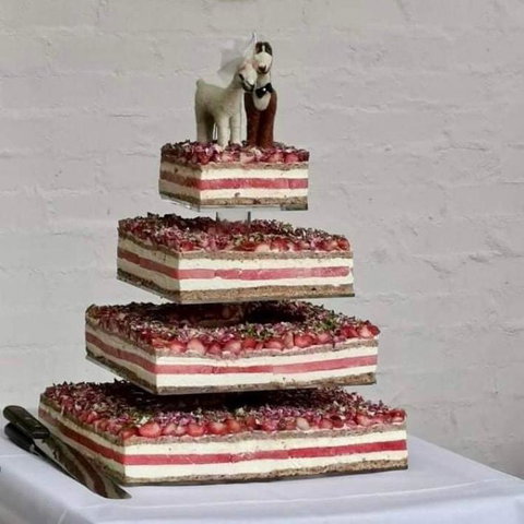 Glenview Alpaca Farm - Accommodation Gold Coast 3