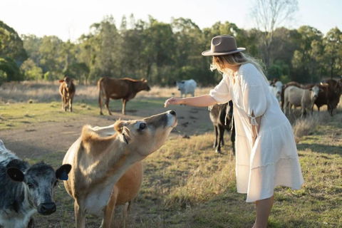 Golden Hill Farmstay By Tiny Away - Accommodation Gold Coast 4