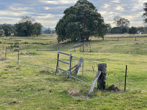 Graceland By Tiny Away - 1 Gold Coast 2