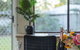 Great Value Stylish 2BR Granny Flat Heritage Park - thumb 3
