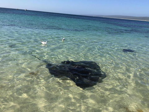 Hamelin Bay Seaclusion - Accommodation Gold Coast 1