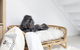 Hanks Corlette House, 49 Pantowora St - Pet Friendly, Air Con, Boat Parking, Wi-Fi - thumb 1