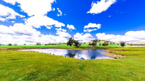 Hillview Farmstay - Accommodation Gold Coast 0