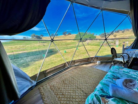 Hillview Farmstay - Accommodation Gold Coast 2