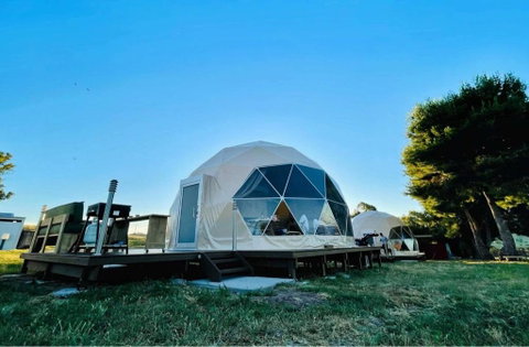 Hillview Farmstay - Accommodation Gold Coast 3