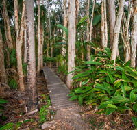Agnes Palms Accommodation - Gold Coast 4U