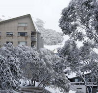 Alpine View Apartments - Gold Coast 4U