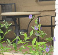 Amalie Cottage Waikerie - Gold Coast 4U