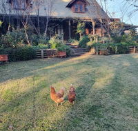 Angaston by the Winter Creek - Gold Coast 4U