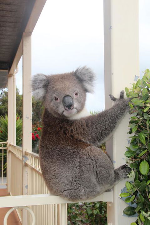 Angela's Beach Stays - Accommodation Gold Coast 3