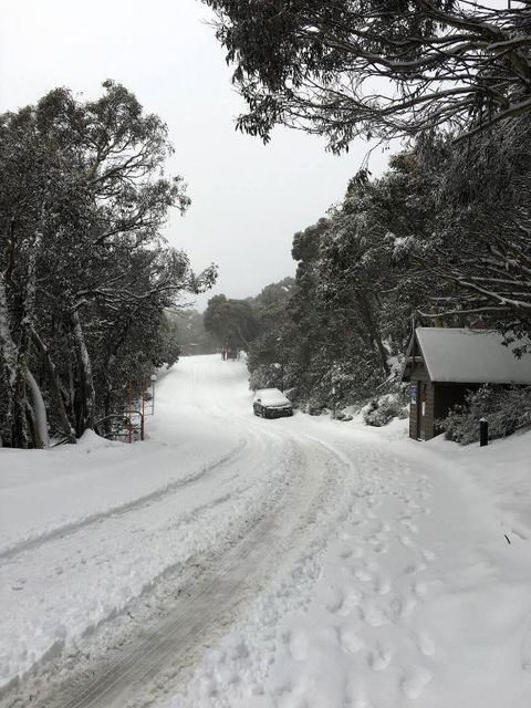 MAGNIFICENT SKIING ON MOUNT BULLER - Accommodation Gold Coast 3