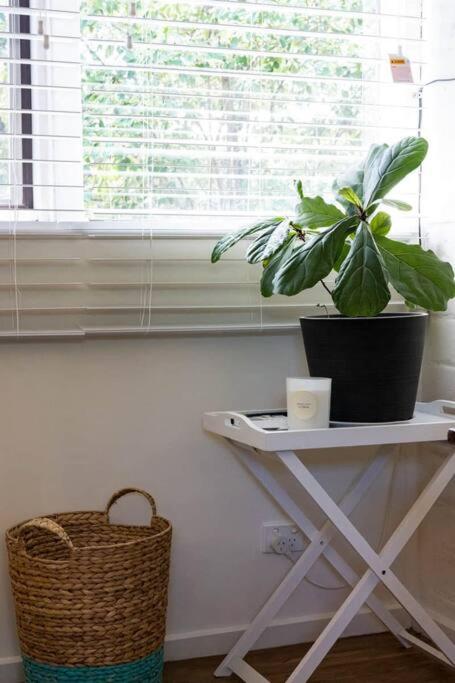 Maldon Cosy Garden Cottage - Charming One Room Studio - Gold Coast 4U 3