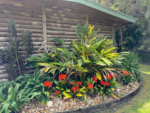 Mallacoota Log Cabins - Accommodation Gold Coast 2