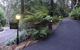 Mountain Lodge - thumb 3