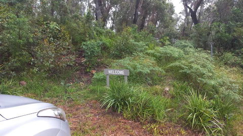 Mountain Tranquility - Accommodation Gold Coast 3