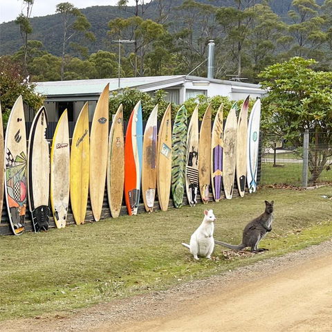 NOFOMO AT ADVENTURE BAY - Accommodation Gold Coast 0
