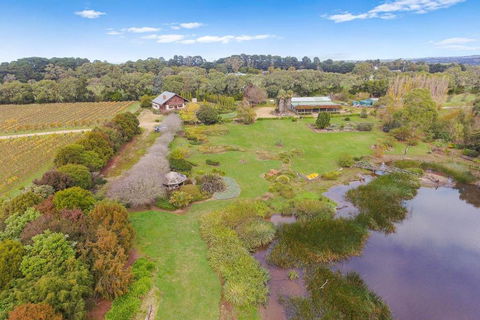 Northway Downs Estate Vineyard - Gold Coast 4U 2