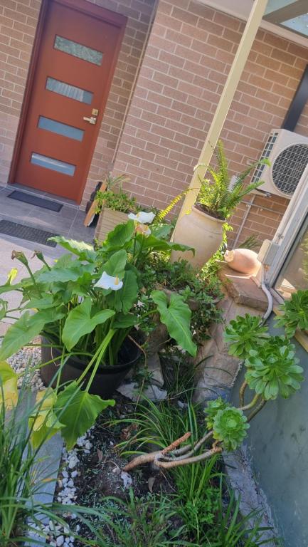 Oasis In The Heart Of Dural - Accommodation Gold Coast 3