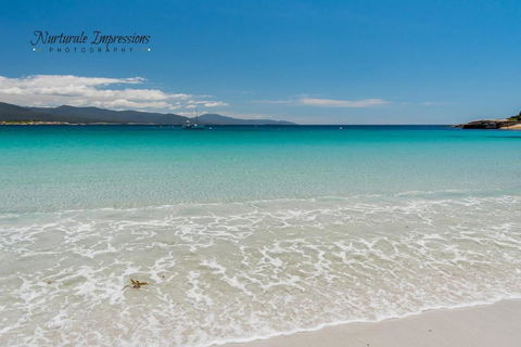 Ocean Dreams - Accommodation Gold Coast 1