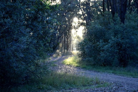 On Bell Glamping - Accommodation Gold Coast 3