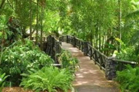 Paddington Pad With Back Deck And Free Car Space Close To Suncorp - Gold Coast 4U 2