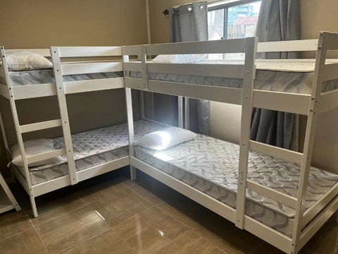 Palm Hamilton Backpacker - Accommodation Gold Coast 3