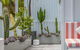Palm Paradise: Luxury Villa Escape By The Beach - thumb 1