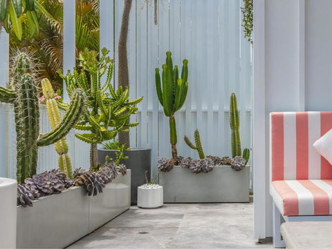 Palm Paradise: Luxury Villa Escape By The Beach - Accommodation Gold Coast 1