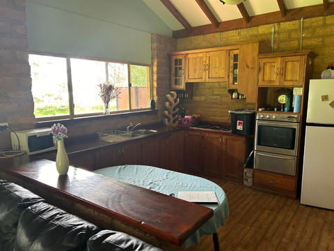 Peacock - Accommodation Gold Coast 1