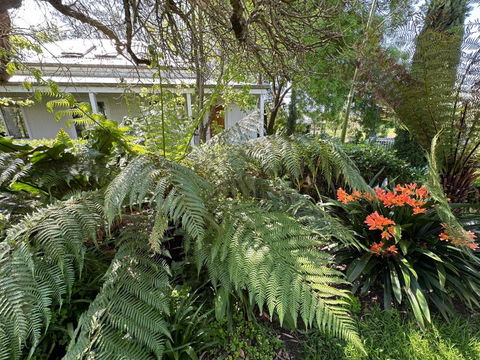 Petschel House - Accommodation Gold Coast 3