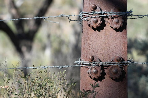 Pichi Richi Park - Accommodation Gold Coast 3