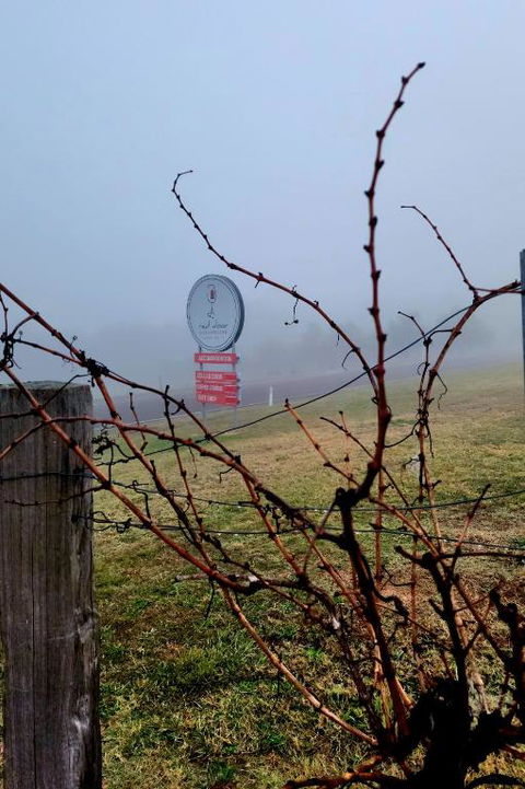 Red Door Collective - RDC Vineyard Estate, Luxury Adult Only Stay - Accommodation Gold Coast 3