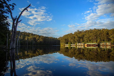 RAC Karri Valley Resort - Accommodation Gold Coast 3