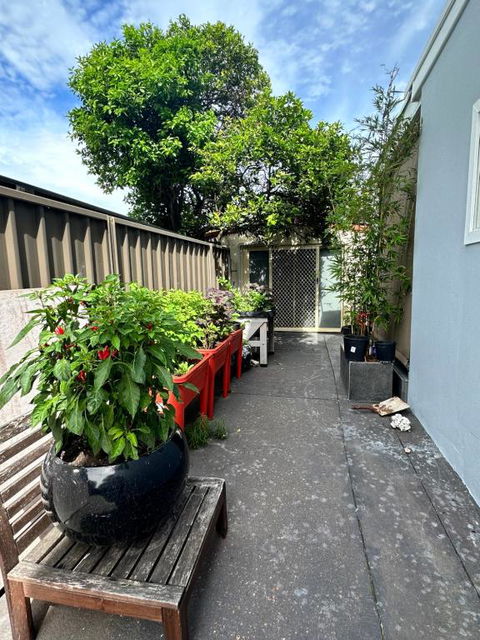 Private, Local Living Studio In Mascot, Airport - Accommodation Gold Coast 2
