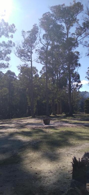 Rail Trail Retreat - Accommodation Gold Coast 2