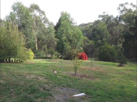 Rainy Hill Retreat - The Cottage - Accommodation Gold Coast 1