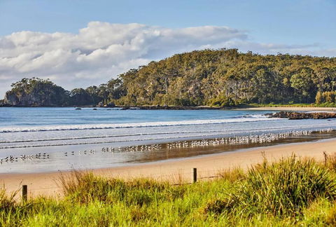 Rare Broulee Beachfront House - Gold Coast 4U 3