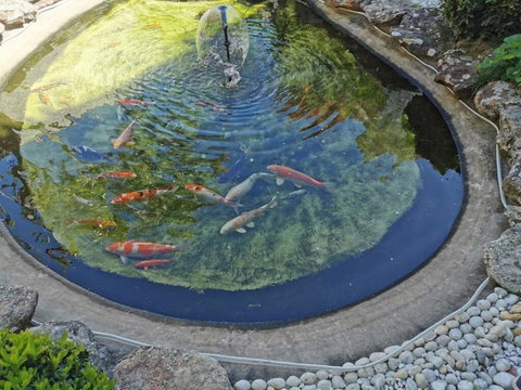 Attached Self Service Waterfront Whole Villa - Sydney - 1 Gold Coast 2