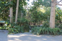 Book Macclesfield Accommodation Vacations Accommodation Gold Coast Accommodation Gold Coast